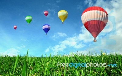 Hot Air Balloons Stock Photo