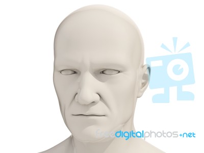 Human Head Isolated Stock Image