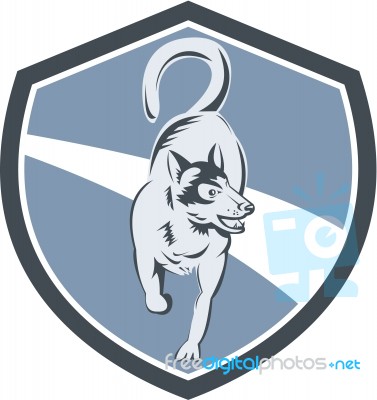 Husky Dog Crest Retro Stock Image