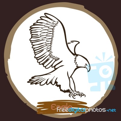Illustration Of Eagle, Hawk Bird Stock Image