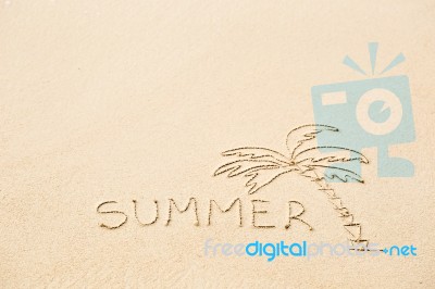 Inscription Of The Word Summer And Palm Tree Drawing On Wet Yell… Stock Photo