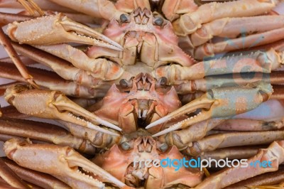 Japanese Big Crab Stock Photo
