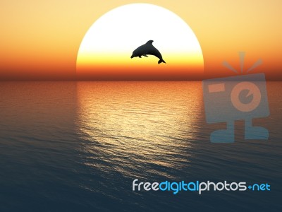 Jumping Dolphin Stock Image