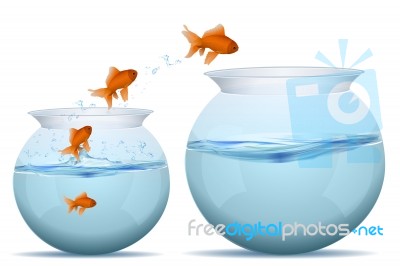 Jumping Fishes Stock Image