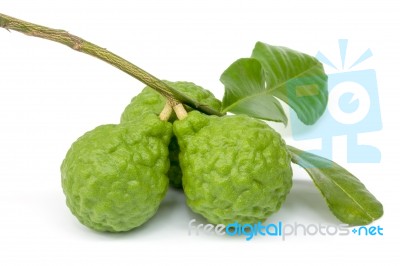 Kaffir Lime With Leaves Isolated On White Background Stock Photo