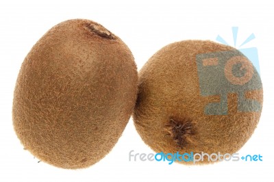 Kiwi Isolated Stock Photo