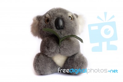 Koala Doll Stock Photo
