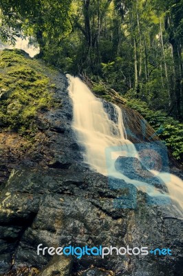 Kondalilla Falls In Kondalilla Falls National Park Stock Photo