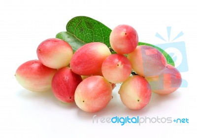 Koromcha - Crimson Fruit Stock Photo