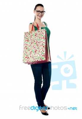 Lady Standing With Shopping Bag Stock Photo