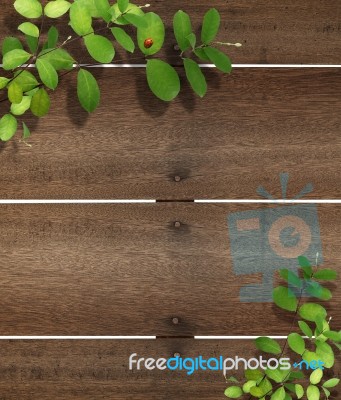 Ladybug On Leaves Background Stock Photo