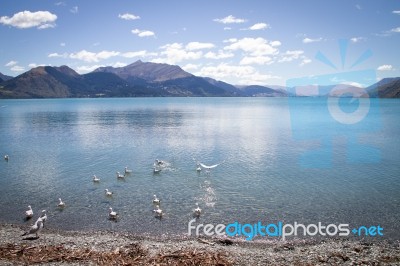 Lake Wakatipu Stock Photo