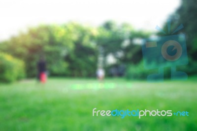 Lawn In Park With Blurred Images Stock Photo