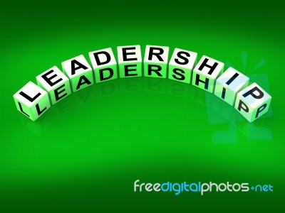 Leadership Dice Mean Guidance Influence And Management Stock Image