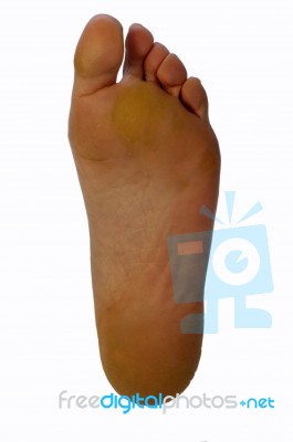 Left Foot Female Stock Photo