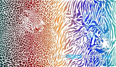 Leopard And Tiger And Color Pattern Background Stock Image