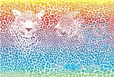 Leopard Pattern Stock Image