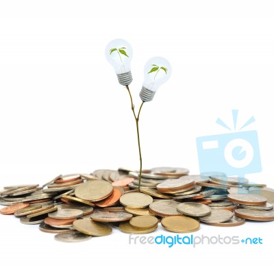 Light Bulb On The Tree And Coin Stock Photo