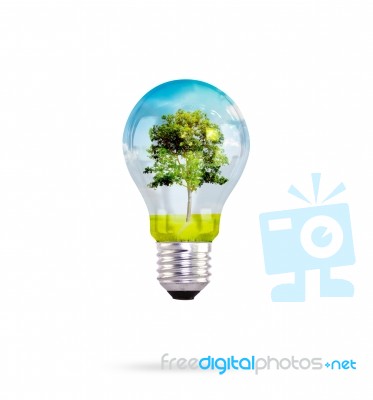 Light Bulb With Tree Inside Stock Image