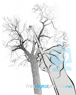 Line Drawing Of A Tree Stock Image - Royalty Free Image ID 100158535