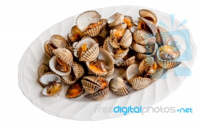 Little Sea Shell Cockles Stock Photo