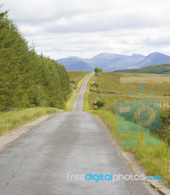 Long Road In Countryside Stock Photo