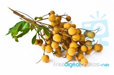 Longan Fruit Isolated On White Background Stock Photo