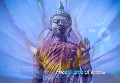 Lotusbuddha Stock Photo