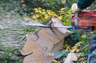 Lumberjack Stock Photo