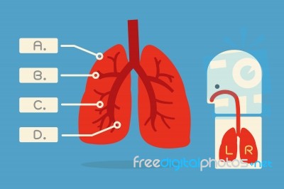Lung Infographics Stock Image