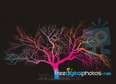 Magic Tree Stock Image