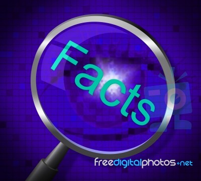 Magnifier Facts Shows Knowledge Searching And Answers Stock Image