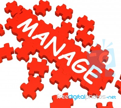 Manage Puzzle Shows Company Supervising Stock Image