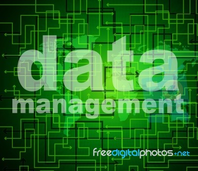 Management Data Represents Organization Authority And Managing Stock Image