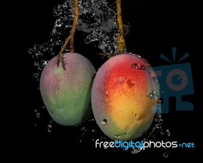 Mango With Water Splash Stock Photo