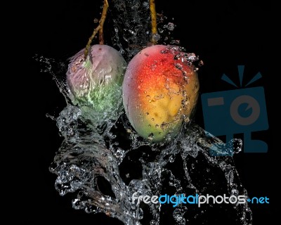 Mangos In Water Splash Stock Photo