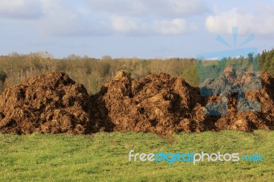 Manure For Agriculture Stock Photo