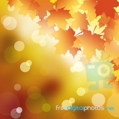 Maple Leaf Background Stock Image