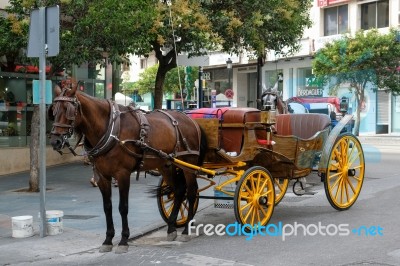 Marbella, Andalucia/spain - July 6 : Horse And Carriage In Marbe… Stock Photo