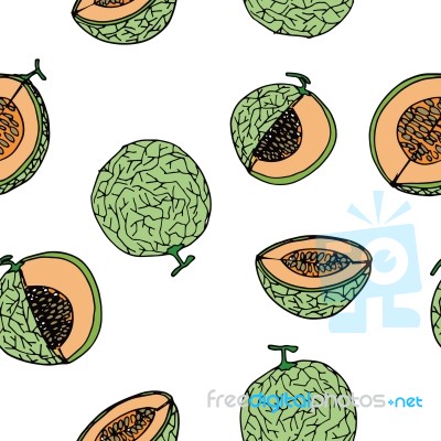 Melon, Cantalop Seamless Pattern By Hand Drawing On White Backgr… Stock Image