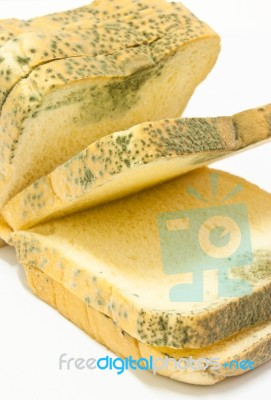 Moldy Bread Stock Photo Moldy Bread Stock Photo