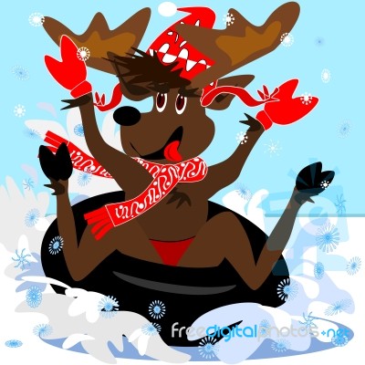 Moose Enjoying The Snow Stock Image