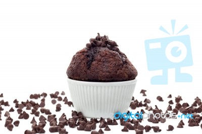 Muffin With Chocolate Chips Stock Photo