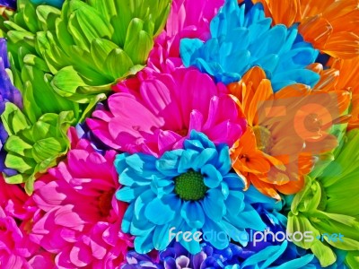 Multicolour Flowers Stock Photo