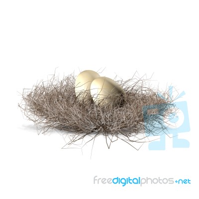 Nest Stock Image