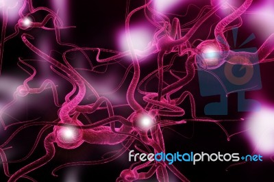 Neuron Stock Image