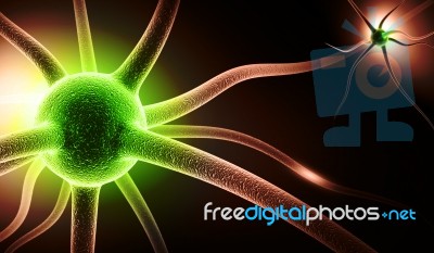 Neuron Stock Image