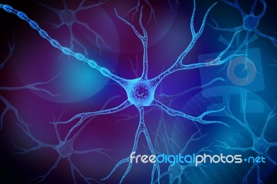 Neuron In Colour Background Stock Image