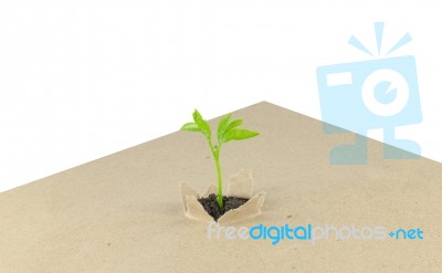New Plant On Paper Stock Photo