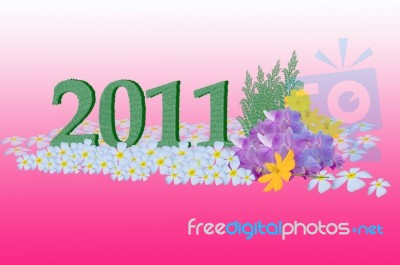 New Year 2011  Stock Image